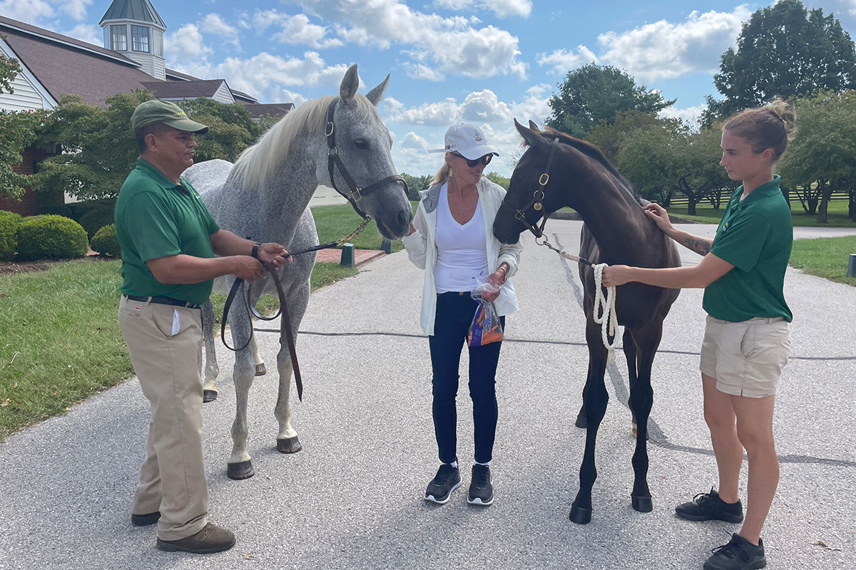 Jan Naify with a few horses