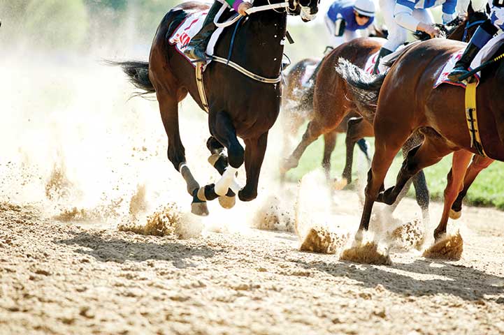 horse being ridden by a jockey