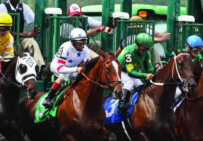 Horses at the gates of a racetrack